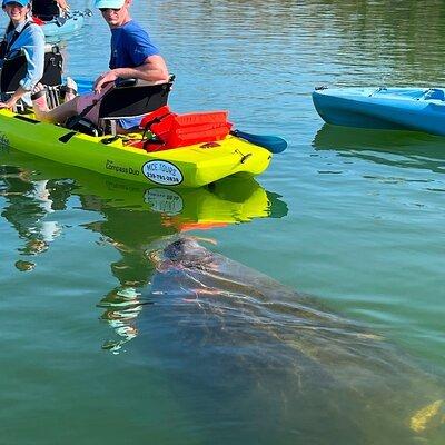 Guided Hobie Kayak Adventure: Enhanced Island Eco Experience!