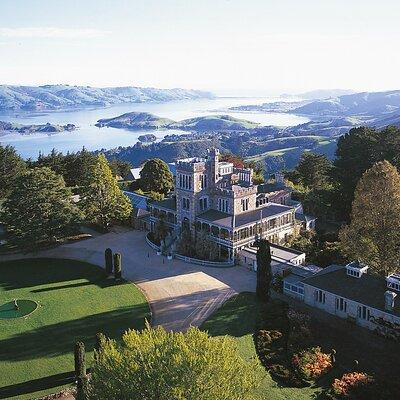 Otago Peninsula and Larnach Castle Tour FOR CRUISE PASSENGERS