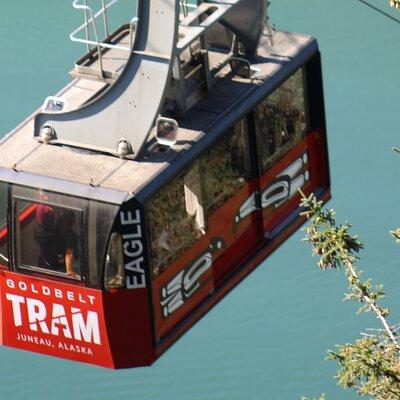 Trails and Ale Tour and Tram Combo