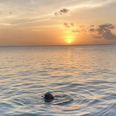 Private Sunset and Snorkel Cruise