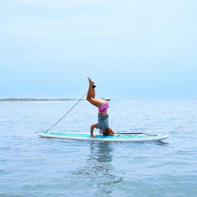 Stand Up Paddleboard Rentals in Ocean City, MD