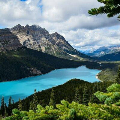 Lake Louise, Moraine, Glacier, Peyto &Bow Lake Icefield Parkway