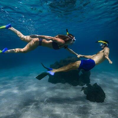 Turtle Town Snorkel with Photo and Video