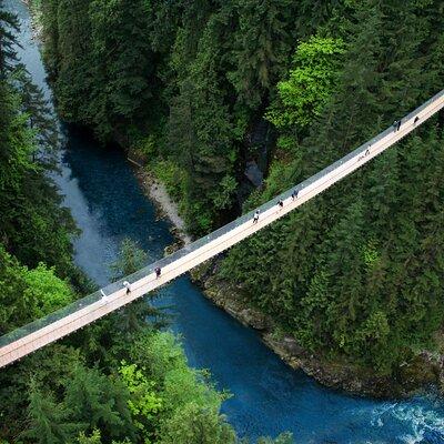 Capilano Suspension Bridge Park Ticket