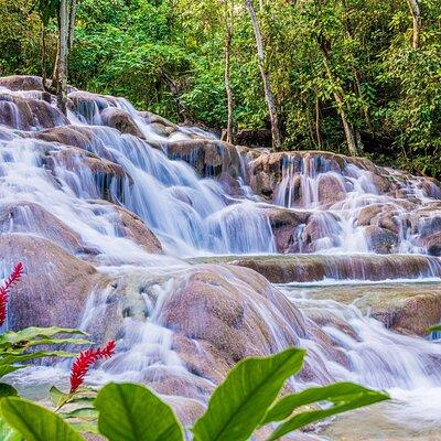 Dunns River Falls and Blue Hole Private Tour From Montego Bay