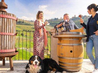 The Grand tour of Valpolicella: 2 Wineries, Lunch & Amarone focus