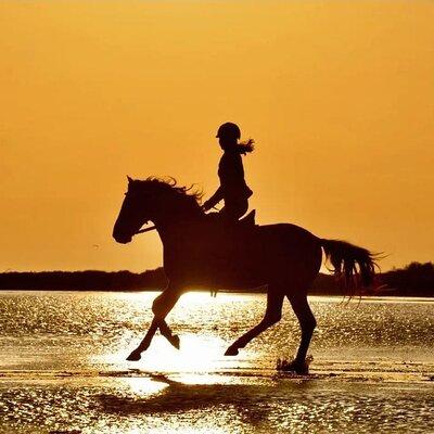 Horseback Riding by Beach or Forest in Manavgat Side