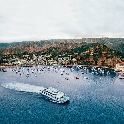 Catalina Express: Avalon to San Pedro One-Way Ferry