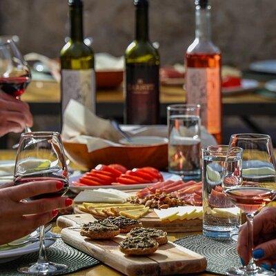 Wine and food tasting in the traditional winery