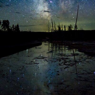 Yellowstone Private Wildlife Tour