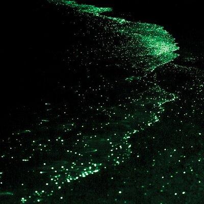 Bioluminescence and Sunset Kayak Tour in the San Juan Islands