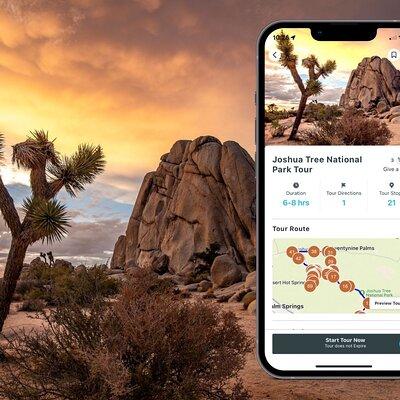 Self Guided Joshua Tree National Park Driving Tour
