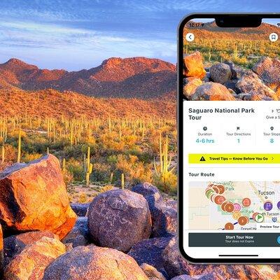 Self-Guided Saguaro National Park Driving Tour