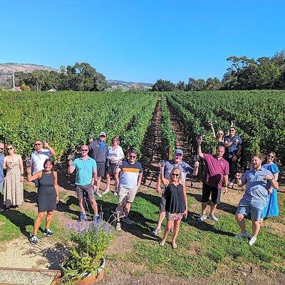 Small-Group Wine Tasting Tour of Napa via San Francisco Ferry