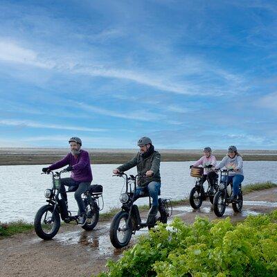 Retro E-Bike Hire Experience exploring the New Forest coastline