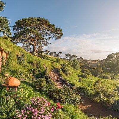 Hobbiton Movie Set Small Group Tour from Auckland 