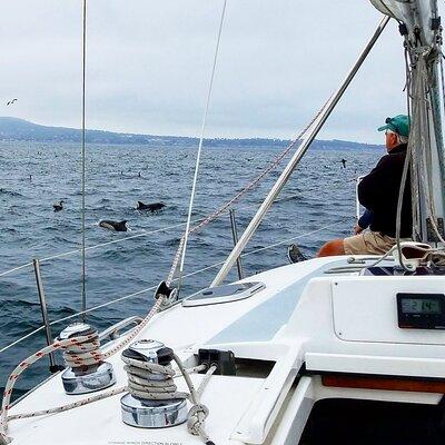 Monterey Private 3 - 4 Hour Whale Watching Cruise