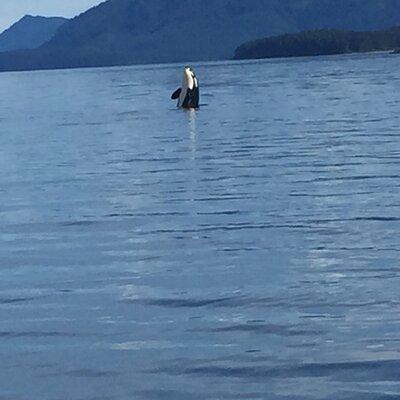 Fishing Whale Watching Hoonah Alaska