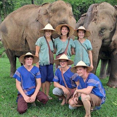 Chiang Mai Elephants Sanctuary, Wat Banden & Sticky Waterfall