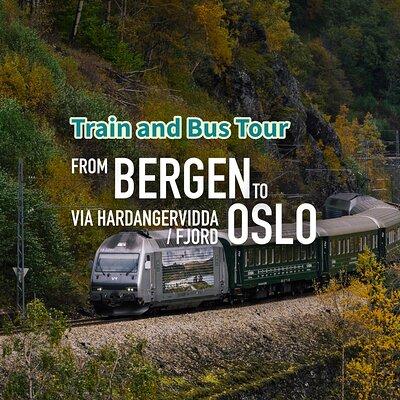 Train and Bus Tour from Bergen to Oslo via Hardangervidda/Fjord