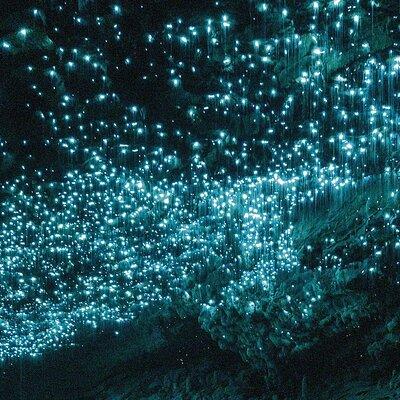 From Auckland: Waitomo Glowworm & Cave Explorer Small Group Tour 