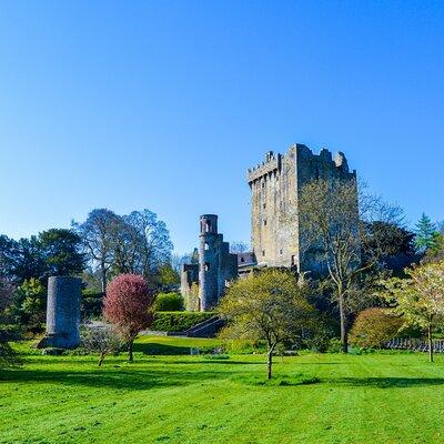 Private Tour: Classic Cork Tour visiting Blarney Castle & Kinsale