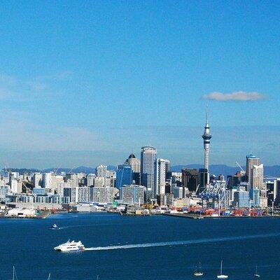 Auckland City Top Spots Half Day Tour(Small Group Tour)