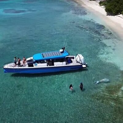 BVI Key Hotspots Private Day Charter Experience