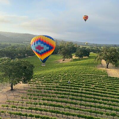 Wine Country Join-in Flight 