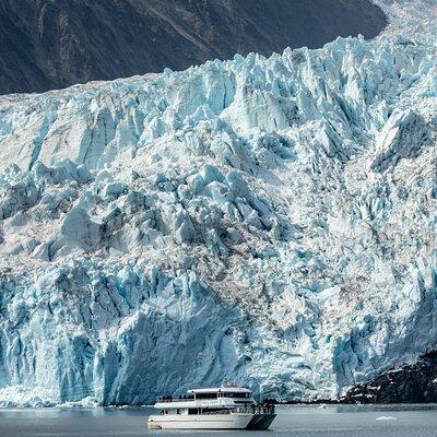 Seward Shore Excursion: Pre- or Post-Cruise Kenai Fjords National Park Tour