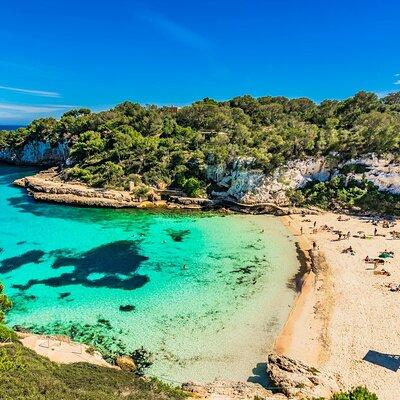 Full Day Tour to the Best Beaches and Coves of Mallorca