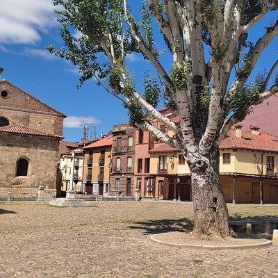 Guided tour of the historic center of the city of León