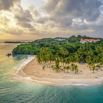 Los Haitises Park & Cayo Levantado: Samaná unforgettable Journey