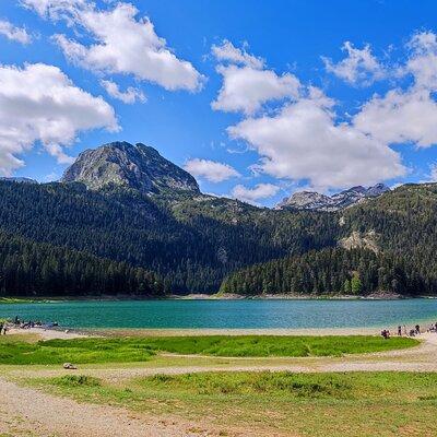 Montenegro: Black Lake and Tara Canyon Day Trip