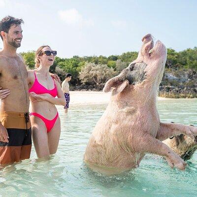 Exuma Elite Escape: Luxury Fly-In Pig Beach Adventure - 7 Stops