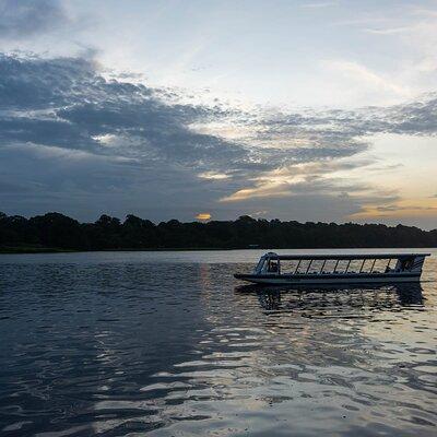 Tortuguero:Canoe tour + Trail tour + Jungle night or Spawn Turtle