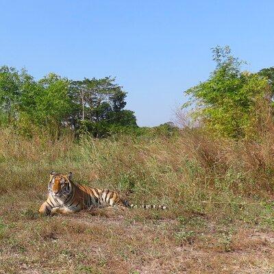 Tour of the Wildlife Rescue Center