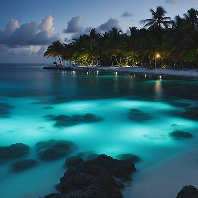 Grand Cayman Bioluminescence Adventure