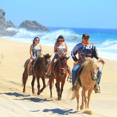 Cabo White Sand Horseback Riding Tour and Tequila Tasting 