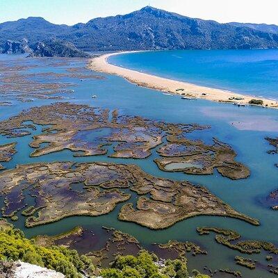 Dalyan Day Trip with Mud Bath and Turtle Beach From Fethiye