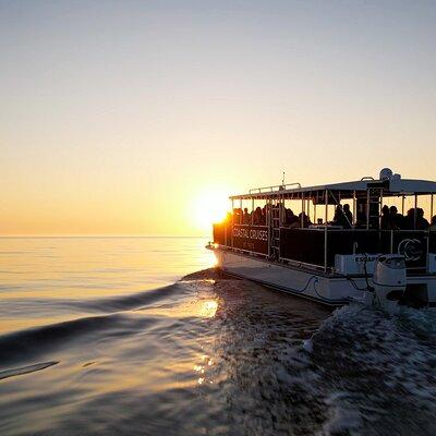 St. Pete Dolphin Watching and Island Sunset Cruise