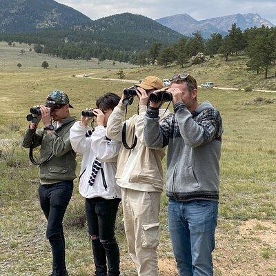 Full Day Tour in Rocky Mountain National Park Lunch Included