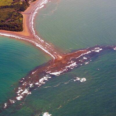 Catamaran Whale Watching Uvita