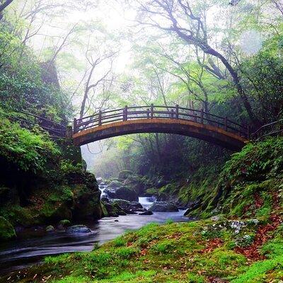 Day Tour to Miyazaki Takachiho Gorge & Shrine depart from Fukuoka