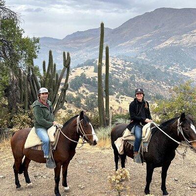  Private Andes Horse Riding with Cheese and Wine. Near Santiago