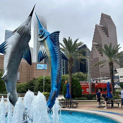 Houston City Tour and Downtown Aquarium All Rides Pass