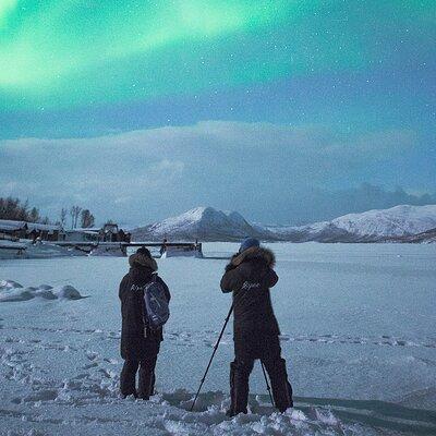 Aurora Tour with Dinner in Abisko