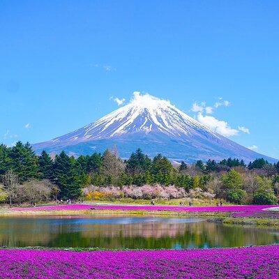 Private Mount Fuji Tours with Car Pickup from Tokyo