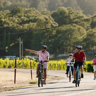 Guided Electric Bike Wine Tour Through Sonoma County