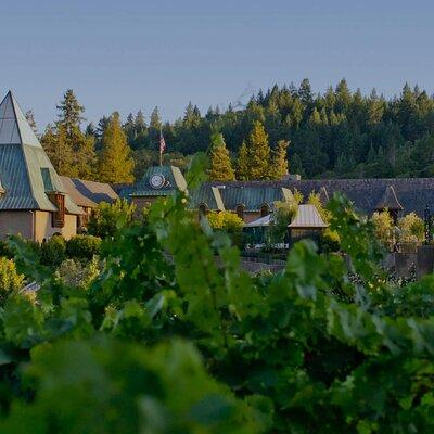 6 Hours Private Wine Tour in Healdsburg Featuring Coppola Winery